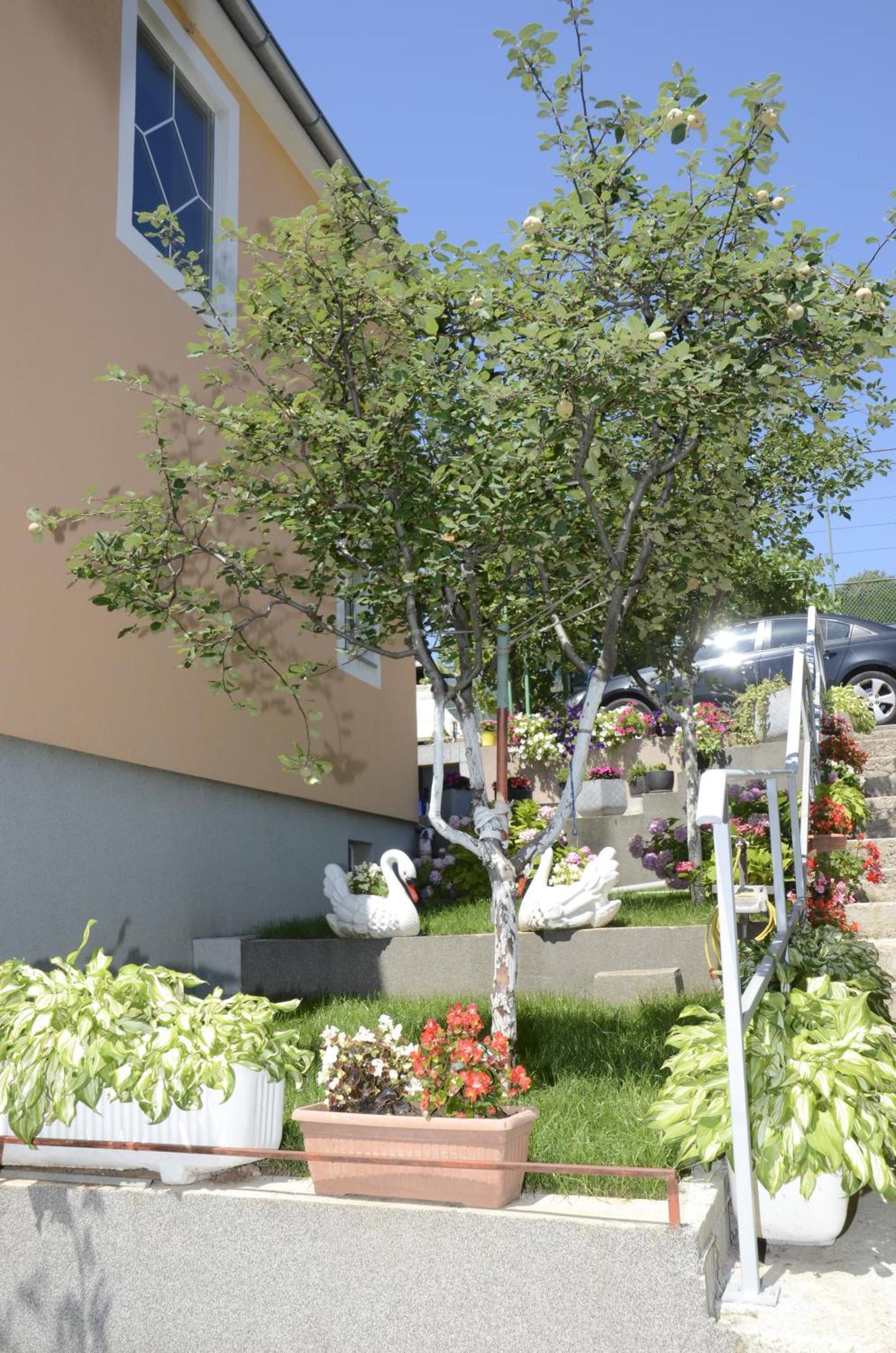 Apartments Lilly - Studio Rijeka Luaran gambar