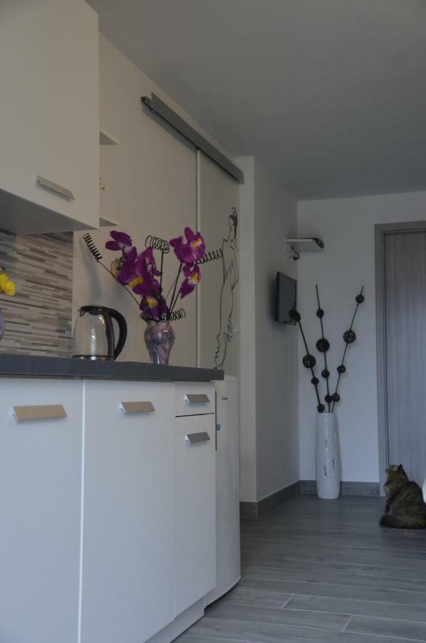 Apartments Lilly - Studio Rijeka Luaran gambar